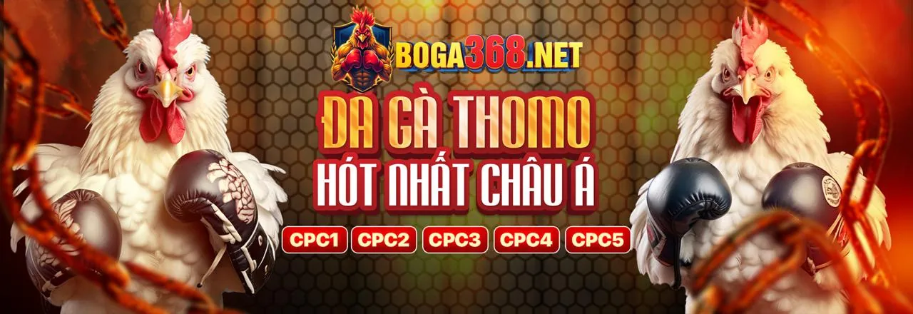 Đá gà trực tuyến kịch tính tại lb555